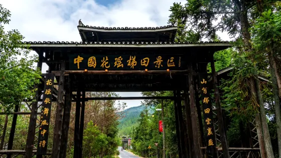 漵浦山背花瑤梯田景區