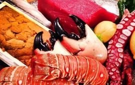 Sushi Rokkan