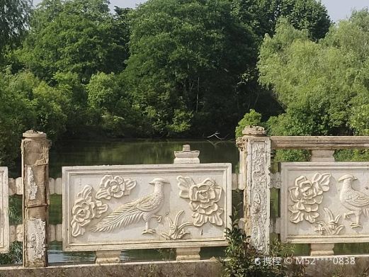 陕南珍稀植物园