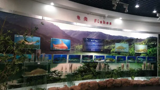 中國桫欏博物館