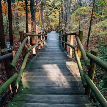 韩国首尔+仁川+釜山7日6晚拼小团