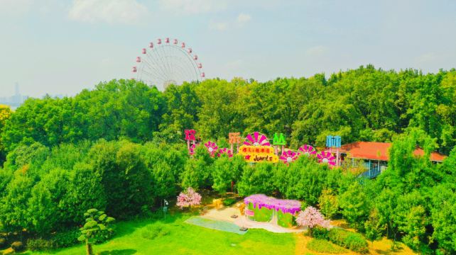 欢乐丛林樱花主题乐园