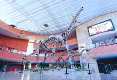 河源恐龙博物馆-河源