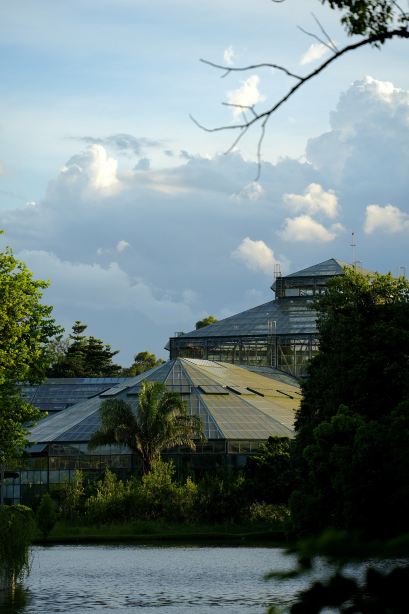 华南植物园景点图片 20