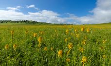 乌兰布统草原-克什克腾旗