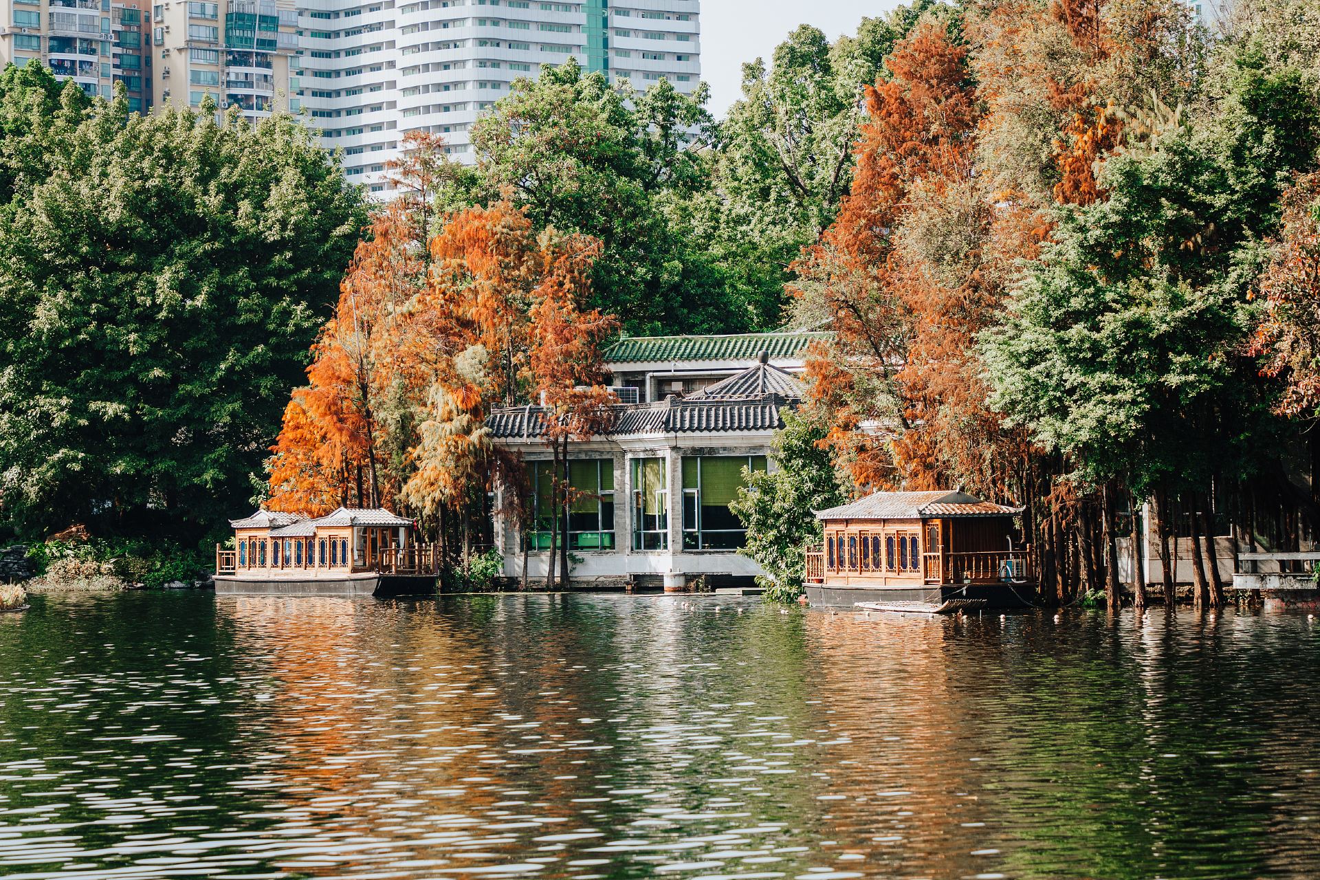 荔湾湖公园景点图片 2