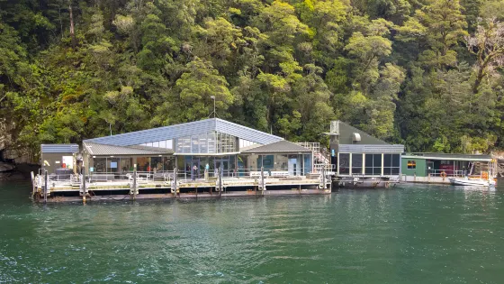 Milford Sound Under Water Observatory
