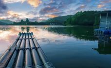 明仕田园-大新-吴立珍