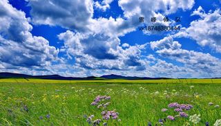 呼伦贝尔大草原纯玩攻略