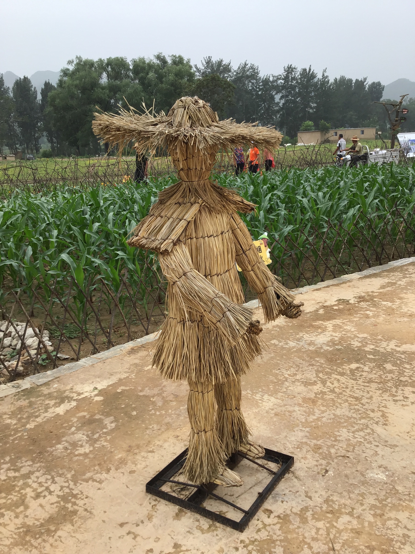 恋乡太行水镇·玉米冒险村
