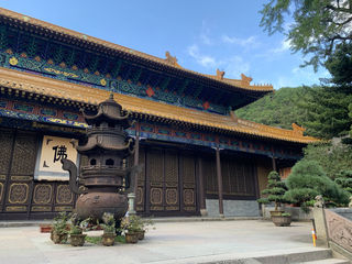 2020 普陀山记行 —— 人间信仰，凡间美食