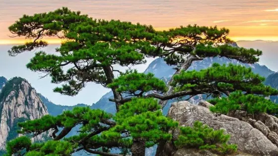 黃牛石風景區