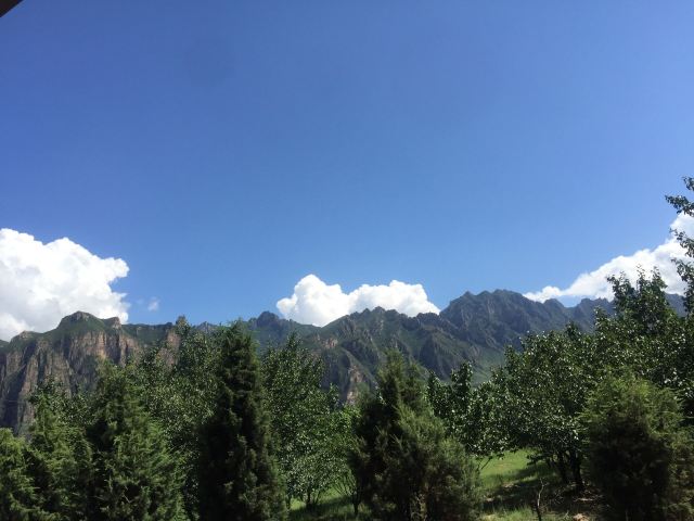 小天桥森林公园旅行图片 1