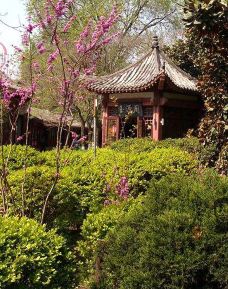 滨湖公园-徐州-一雨一彩虹