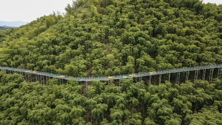 夏日江浙沪亲子游好去处，安吉星潮营地，感受竹尖上的漂流和嬉水