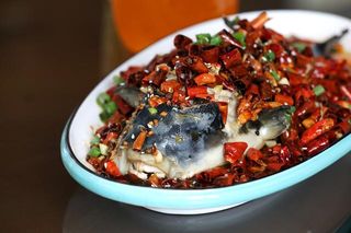 我,曹妃甸人,需要一顿河豚宴