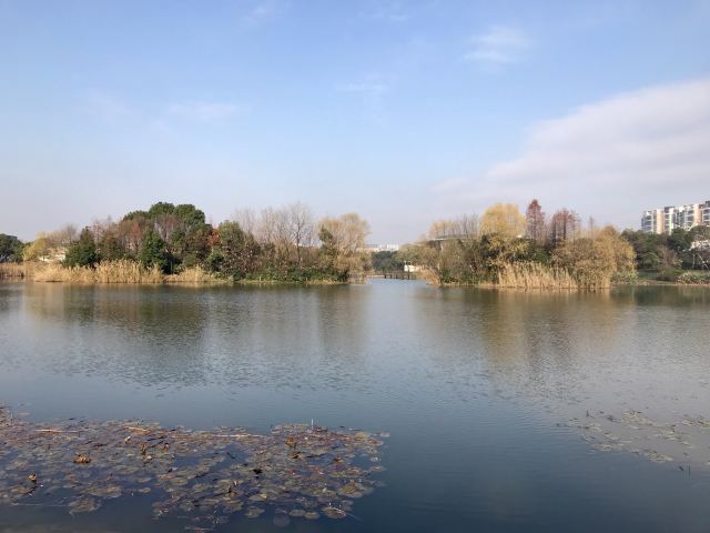 新江湾城公园旅行图片 5