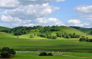 乌兰布统竟有对夹这种美食，金鹤山庄酒店的最好吃，外酥里嫩超赞
