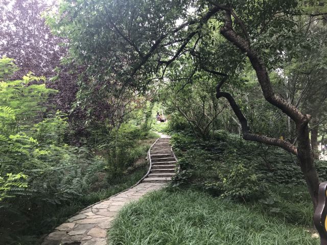 双秀公园旅行图片 4