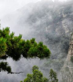 涞源游记图文-梦幻白石山，凉城数涞源