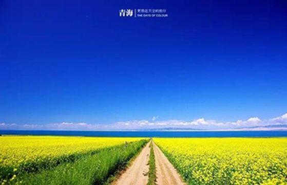 青海-靠近天空的旅行(1)