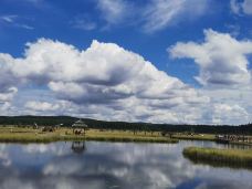 七星湖湿地公园-围场-平行线🔆