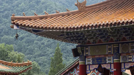 大樹王景區