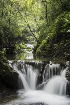 黑山谷风景区-重庆