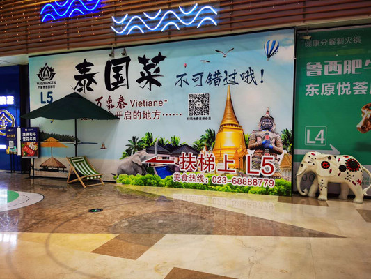 一个人的旅程,用美食疗养身体!