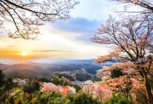 吉野山景点图片