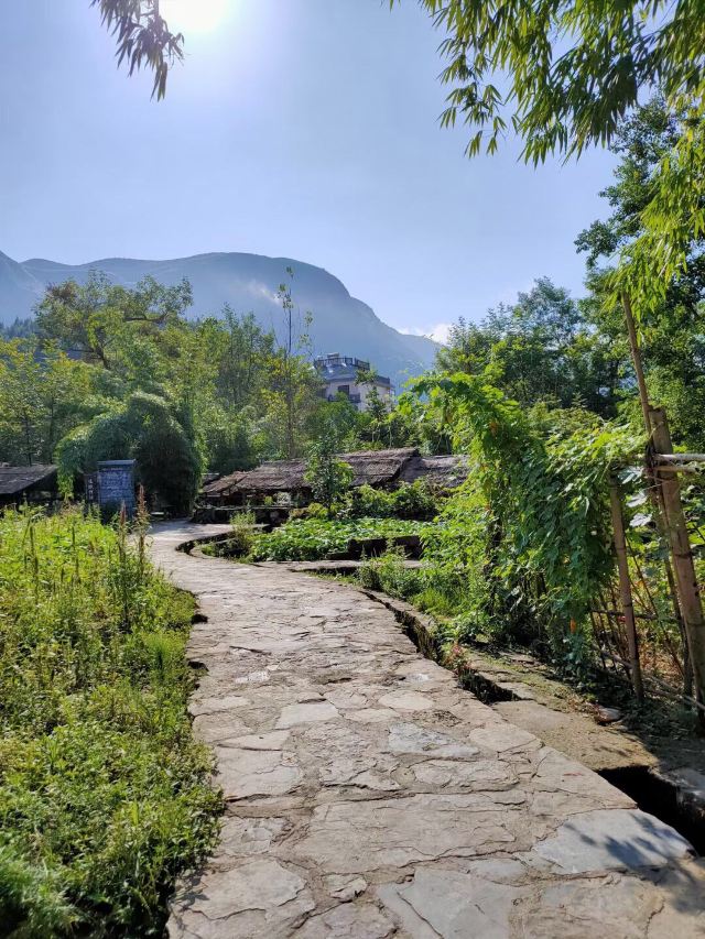 梵净山公园旅行图片 7