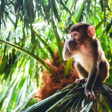 三亚+海口+文昌+万宁+陵水+保亭15日14晚自由行