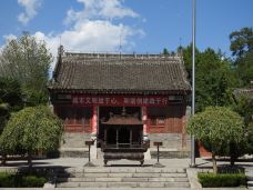 大禹庙-韩城-大松树叶子