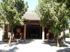 大禹庙-韩城-大松树叶子