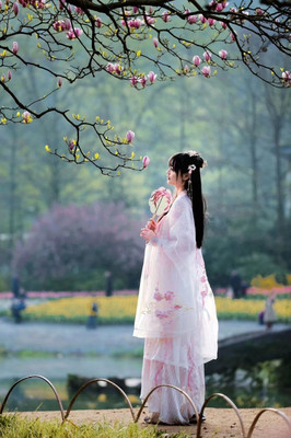 杭州太子湾公园春色撩人---雪花飘荡的樱花花瓣下娇艳的郁金香