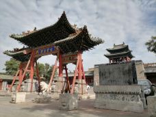 霍州署-霍州-大松树叶子