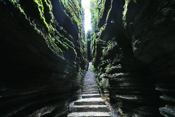 世界第一奥陶纪石林——湖北恩施梭布垭石林自由行攻略