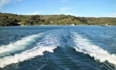 豪拉基湾-奥克兰-hiluoling