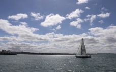 豪拉基湾-奥克兰-q****ky