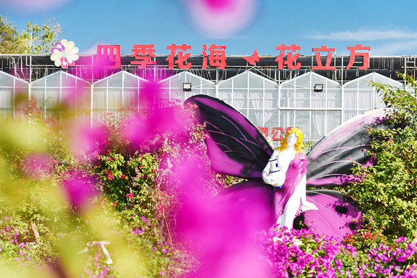 初秋去哪里旅游? 这个地方更让你心动!