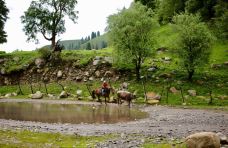 大洞竹海-盘州-wbclawyer