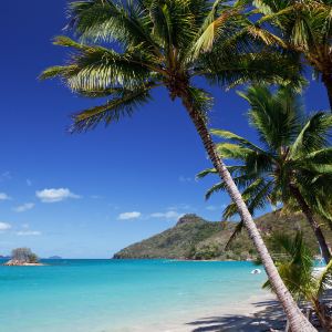 Hamilton Island