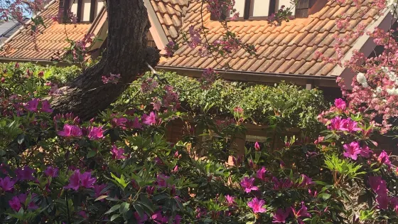 Lisgar Gardens - Hornsby