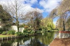 梦娜维尔花园-基督城-小凌60