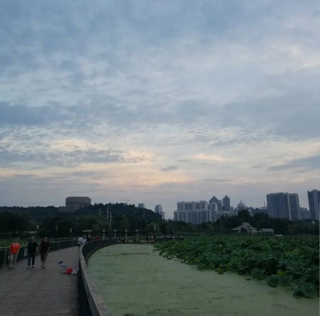 琴台小森林旅行图片 3