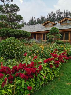 金丰农科园-廊坊-勇者无惧