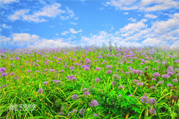 行走赫章：相约阿西里西 只为你而来