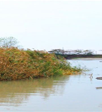 高邮游记图文-哪一年，我在江苏高邮市看运河秋色 ▏高邮自驾三日游实用攻略 ▏冬游苏、浙、皖实用攻略 ▏2020年
