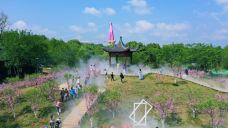 墨潭桃花岛-吉水-C-IMAGE