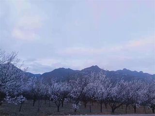 北京延庆玉渡山张宽农家院,特色水库鱼泡饼和水豆腐叫人流连忘返